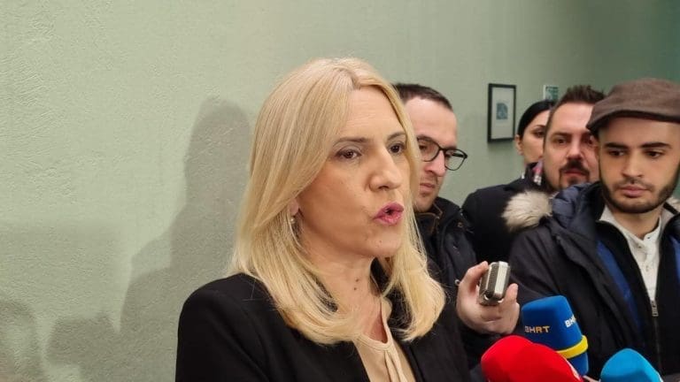 Cvijanović o kriminalizaciji klevete u RS: Polovina država članica EU ima regulisano to pitanje