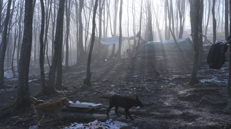 Program 17. izdanja Pravo Ljudski Film Festivala