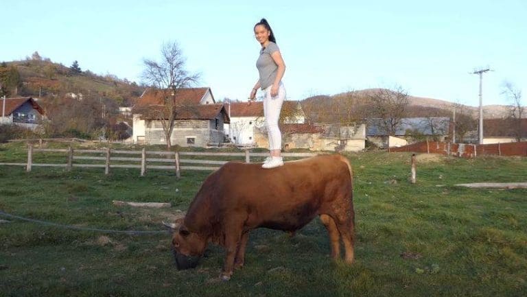 Ova 16-godišnjakinja iz BiH trenira bikove, vozi traktor i takmiči se na koridi: “Vršnjaci mi se smiju…”