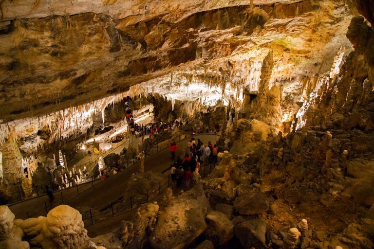 Beba zmaj živi u Sloveniji, turisti u redovima čekaju na voz za Postojnsku jamu