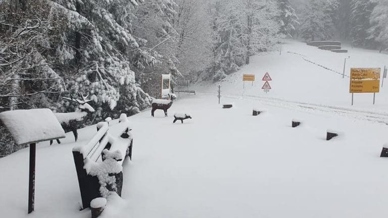 Na bh. planinama snijeg (FOTO)