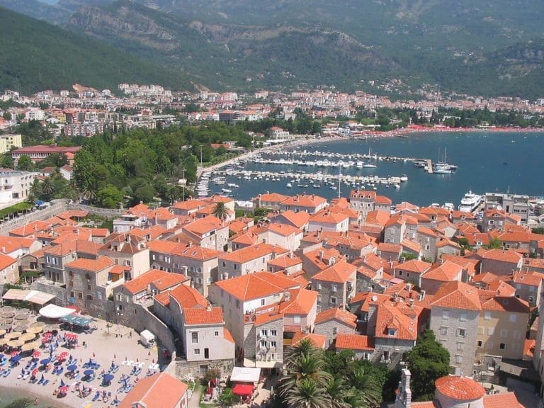 Kakva je to životinja koja se pojavila na plaži u Budvi?