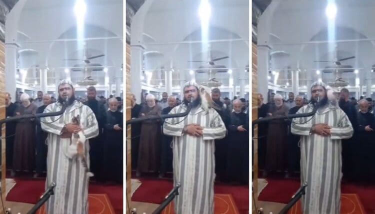 Mačka skočila na imama usred molitve, pogledajte njegovu reakciju (VIDEO)