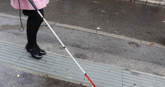 80 mještana sela “preko noći” oslijepilo zbog izbora: Do juče nisu bili, a danas su slijepi i imaju vodiče za glasanje!