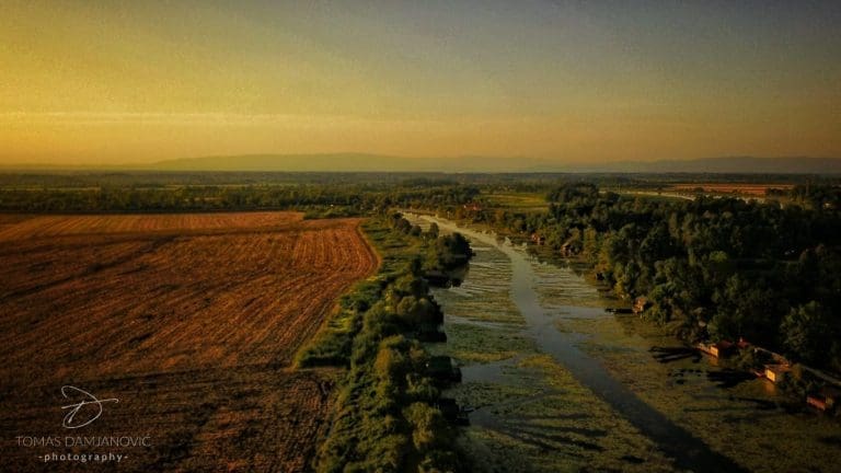 Svjetski dan močvarnih staništa: Bardača, nekad blago prirode sada je polje kukuruza