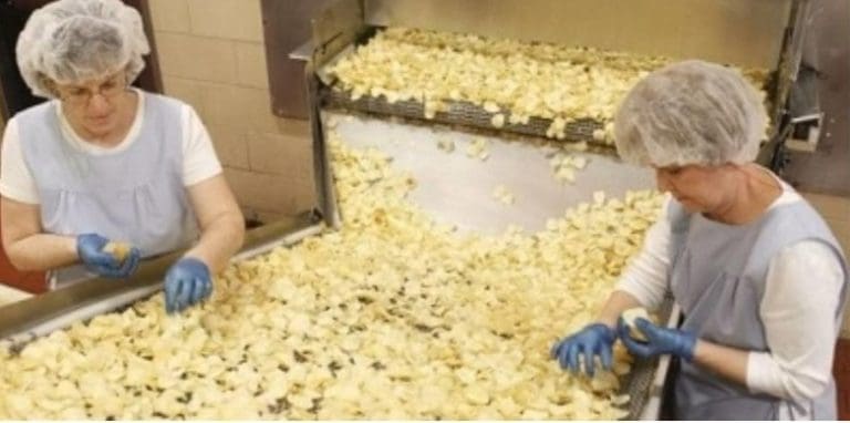 Bingo spasio još jednu firmu: Iz stečaja do milionskih prihoda