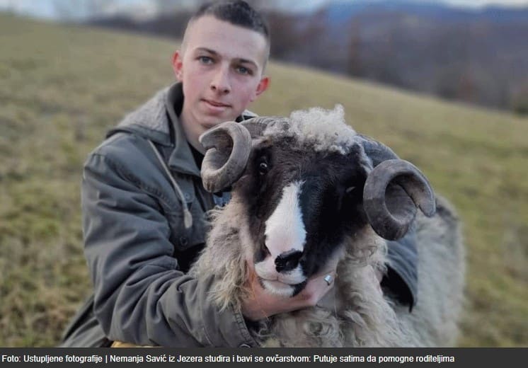 Nemanja Savić (21) iz Jezera studira i bavi se ovčarstvom: Putuje satima da pomogne roditeljima