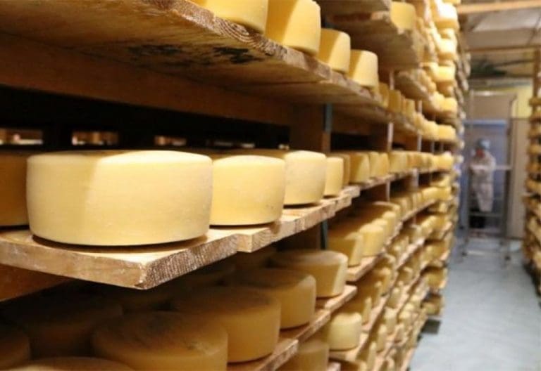 Livanjskom siru priznanje ‘Superior Taste Award’