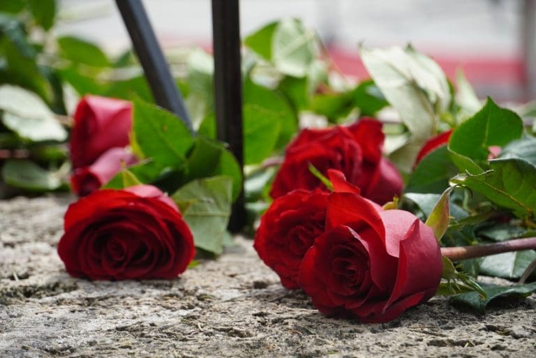 Beograd: Odgođena komemoracija nastradalima u OŠ “Vladislav Ribnikar”
