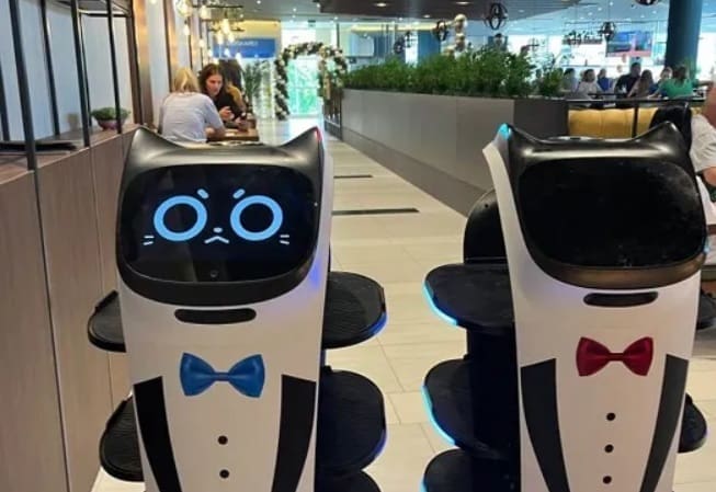 Atrakcija: Prvi roboti konobari u BiH poslužuju goste