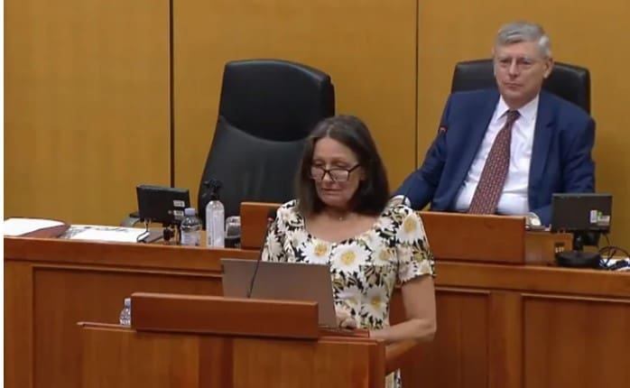 Hrvatska zastupnica postala hit na društvenim mrežama: Izgubila govor