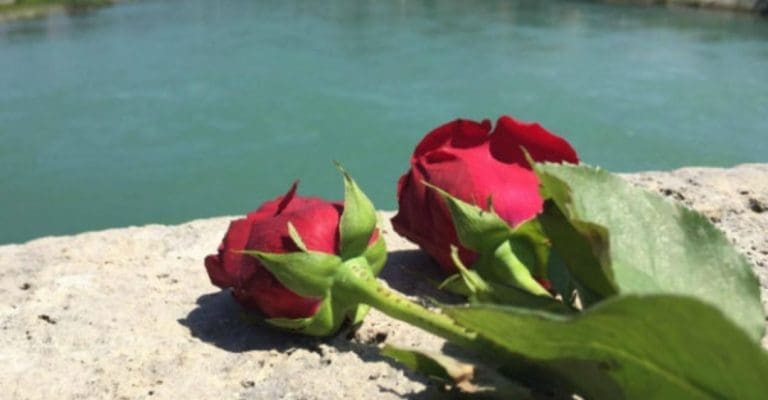 U Drinu s mosta bačeno 3.000 ruža
