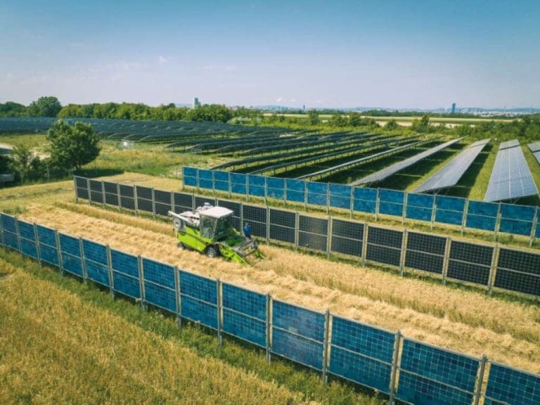 Beč: Masovna proizvodnja obnovljive energije na poljima žita