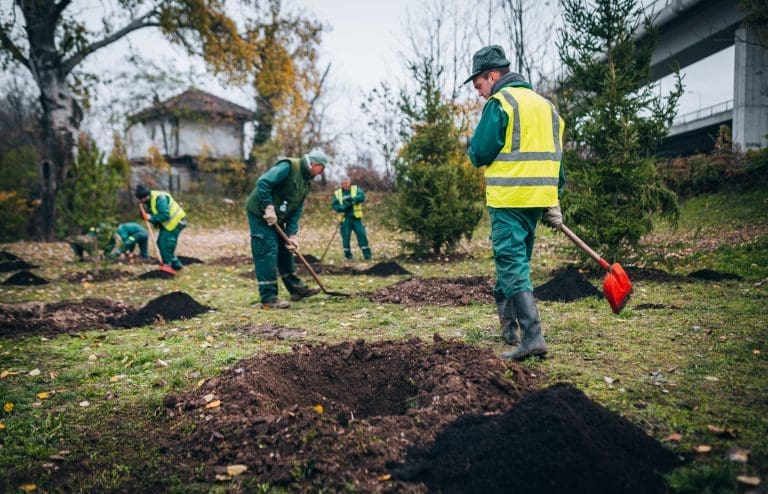 “Drveće prijateljstva” danas će biti zasađeno širom regije