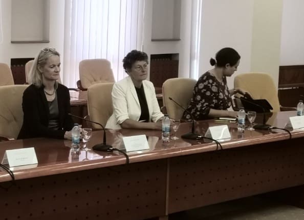 Europarlamentarka pozvala OHR da povuče predložene izmjene izbornog zakona