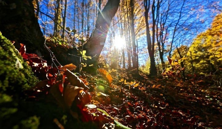 Jesen ove godine toplija od prosjeka, evo kakve su prognoze