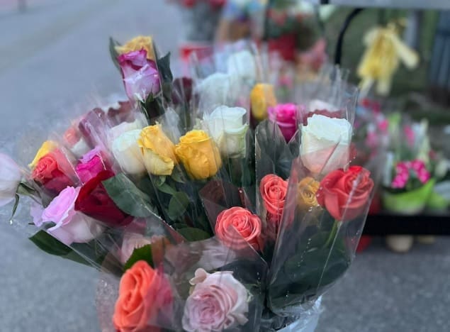 Zašto se Osmi mart u BiH sveo na dan crvenih karanfila i ruža?