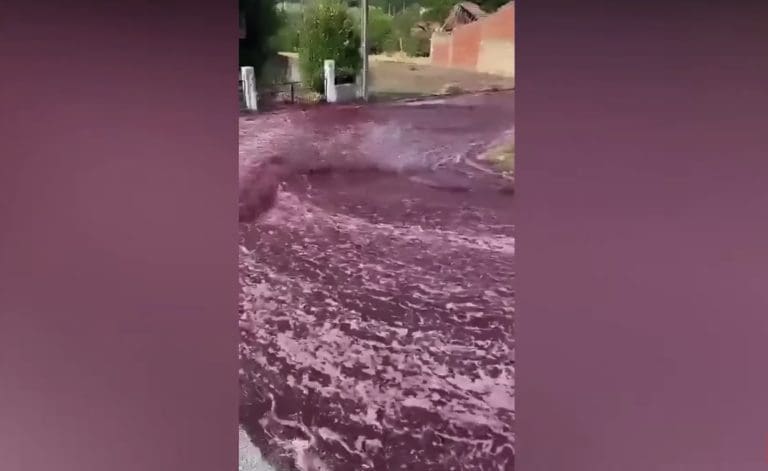 Rijeka vina tekla ulicama, građani u čudu