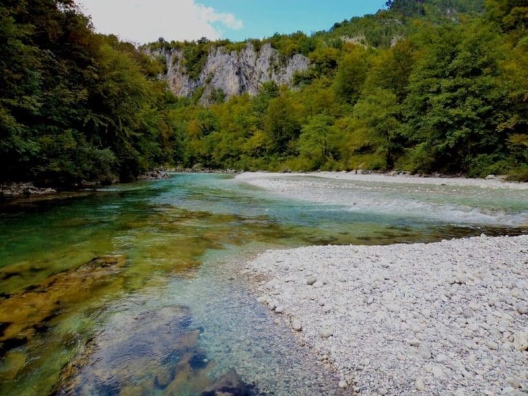 Ekološke akcije koje su obilježile godinu: Zajednički rad doveo do očuvanja životne sredine