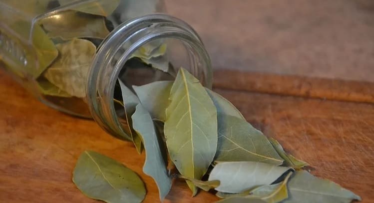 Recept za sirup od lovora u koji se svi kunu ovih dana