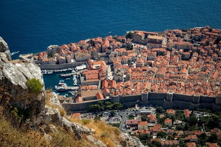 Pijavica na moru kod Dubrovnika