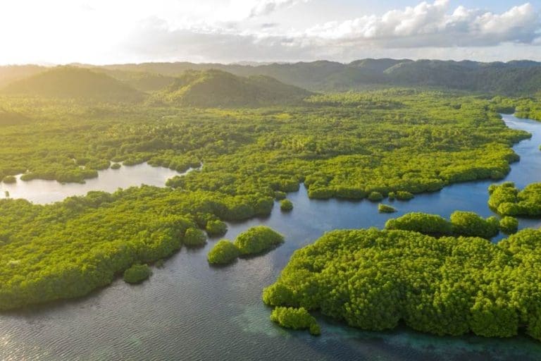 Naučnici potvrdili ono što se dugo sumnjalo: U gustim šumama Amazona otkrivena davno izgubljena civilizacija