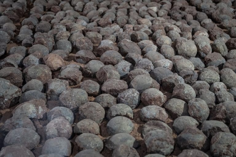 U kineskom muzeju izloženo skoro 20.000 jaja dinosaurusa (FOTO)