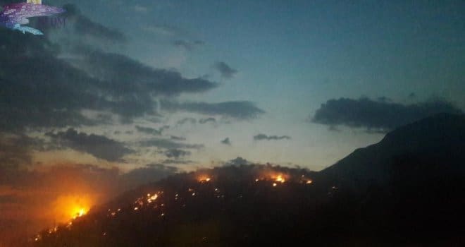 Požari bjesne na Mediteranu, poginulo više od 40 ljudi