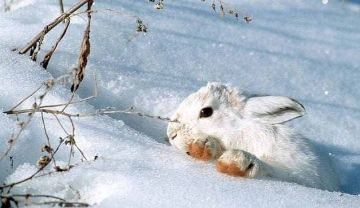 Narednih dana u BiH susnježica, snijeg i temperature ispod nule