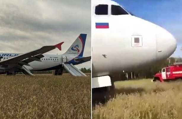 Drama iznad Sibira: Ruski Airbus sa 167 putnika morao sletjeti u polje kukuruza
