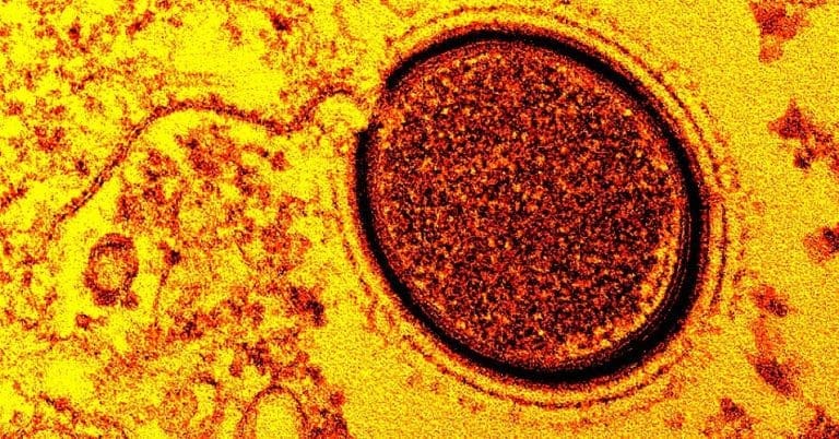 Naučnici oživjeli “zombi-virus” s Arktika star 48.500 godina