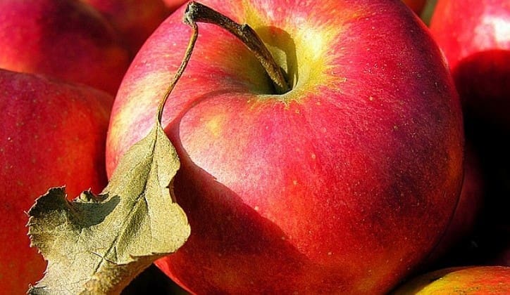 Da li možete da uočite četiri skrivene jabuke? Samo uporni će uspjeti