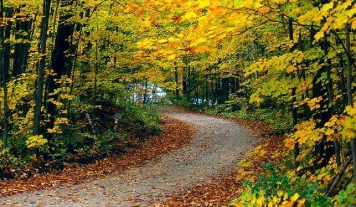 Miholjskom ljetu se bliži kraj, stiže nam prava jesen