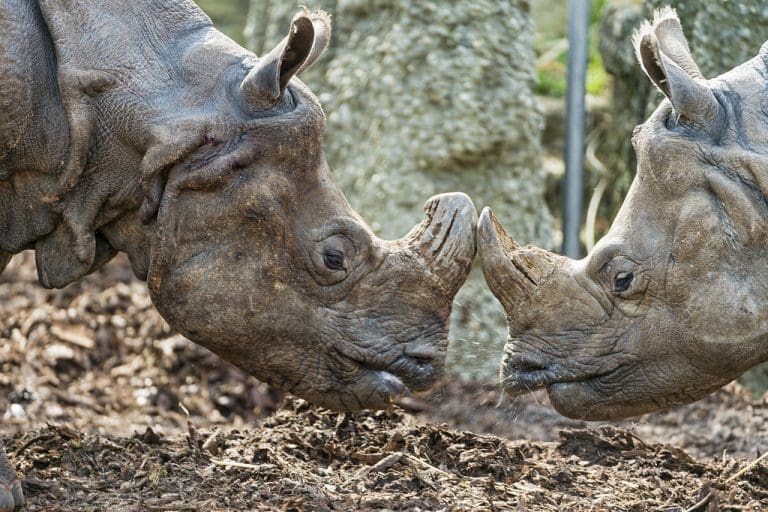 Kako da razgovarate o Ukrajini i drugim zapaljivim temama, a da se ne posvađate sa cijelom familijom
