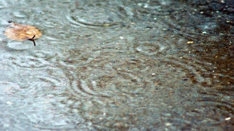 Meteorolog Haris Babić za BUKU o tome kakvo nas vrijeme očekuje narednih dana