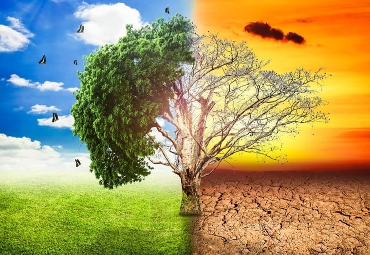 Održava se važan klimatski summit: Je li ovo prelomni trenutak za Zemlju?