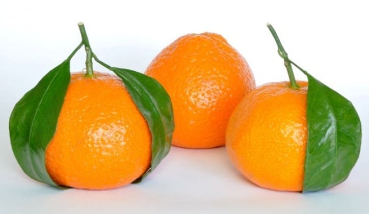Sezona je mandarina – zašto su dobre za zdravlje