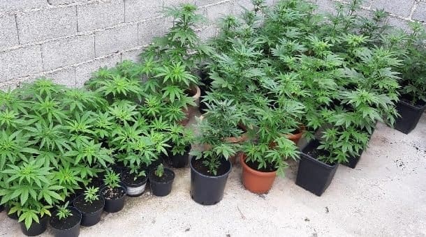 Policija školi donirala opremu za uzgoj marihuane