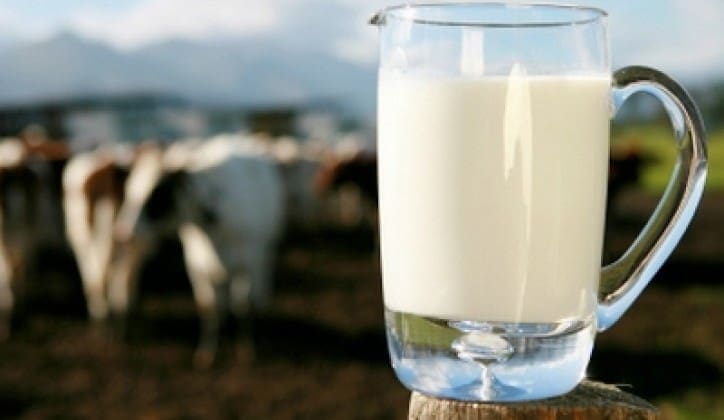 KONTROLA MLIJEKA U RS: Aflatoksin pronađen na nekoliko farmi