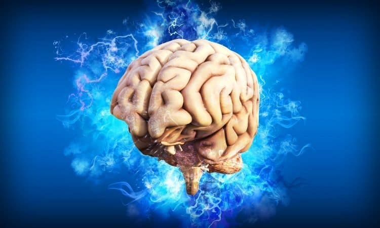Googleova umjetna inteligencija nije razumna, ali je pristrasna i štetna