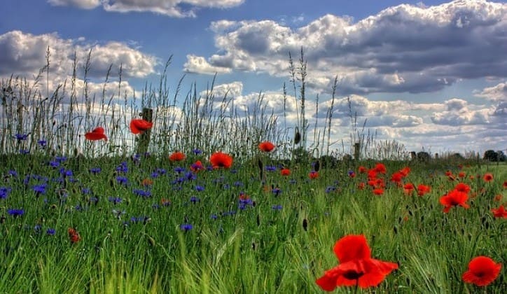 Prognoza za BiH: Za vikend umjereno oblačno, a u ponedjeljak…