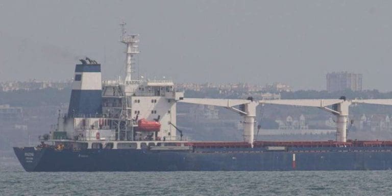 Ruski dronovi napali luke i skladišta žita u ukrajinskoj regiji Odesa