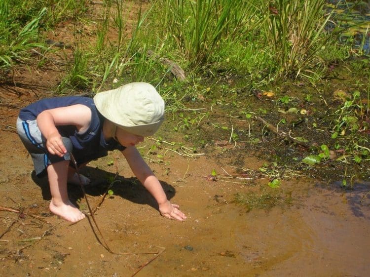 Finski vrtići postavili mini šume u dvorištima, imunitet djece odmah poboljšan
