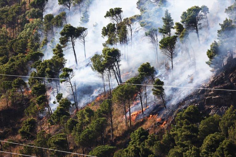 Nastavlja se borba protiv šumskih požara na Siciliji (FOTO)
