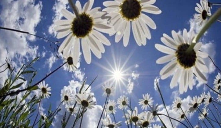 U BiH danas sunčano vrijeme, temperatura do 19 stepeni
