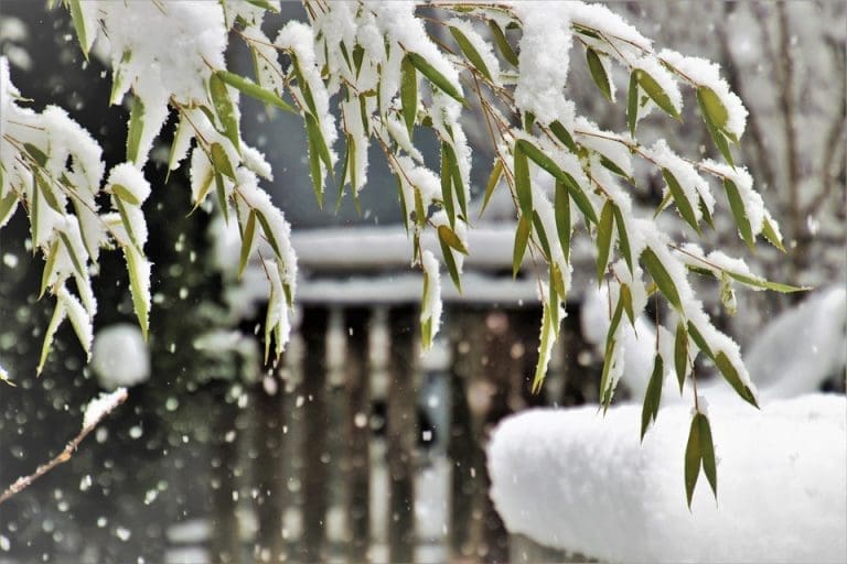 Meteorolog otkrio kada dolazi “prava zima”