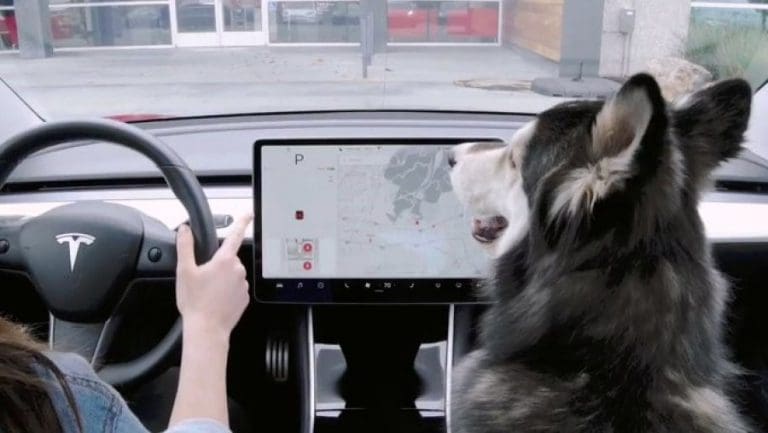 Svjedoci smo jednog zanimljivog sudskog spora: Tesla tužio Teslu