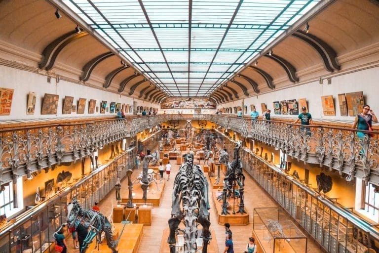 Naučnici otkrili maligni rak kod dinosaurusa