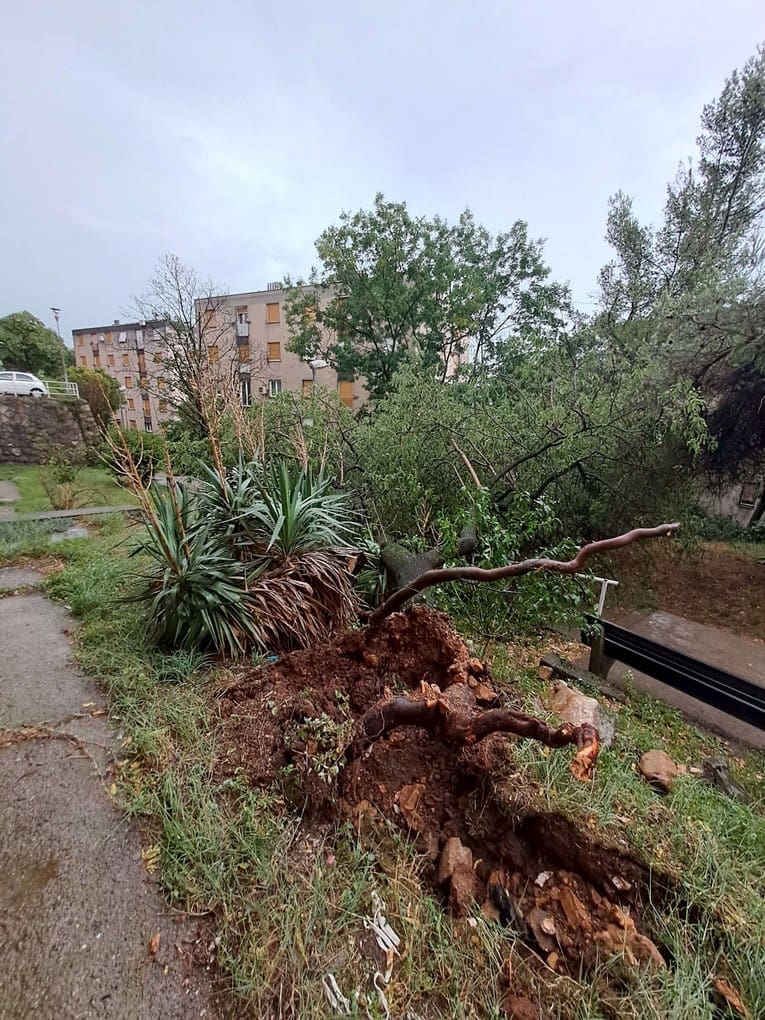 Crveni alarm u četiri regije Hrvatske. Oluja u Istri i Kvarneru, grad, vjetar čupa stabla