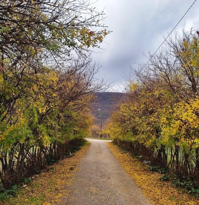 Meteorolozi objavili kakva nas jesen čeka